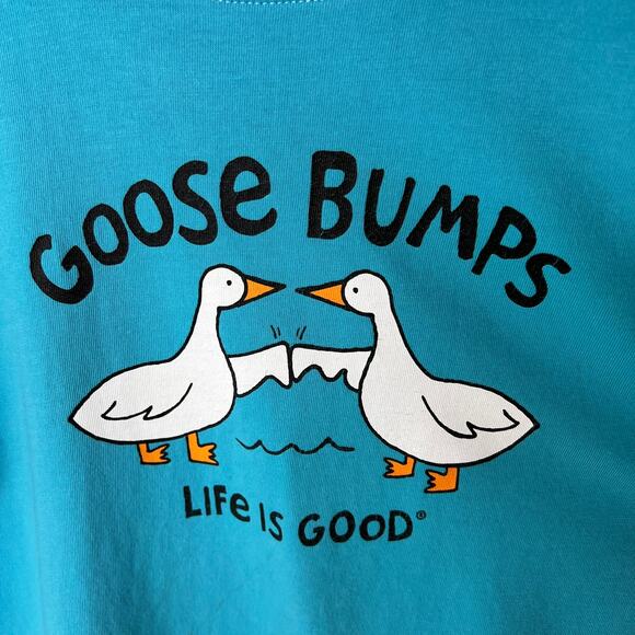 Life is Good T-Shirt Kids Size XXL Aqua "Goose Bumps" Long Sleeve 100% Cotton - Picture 9 of 16